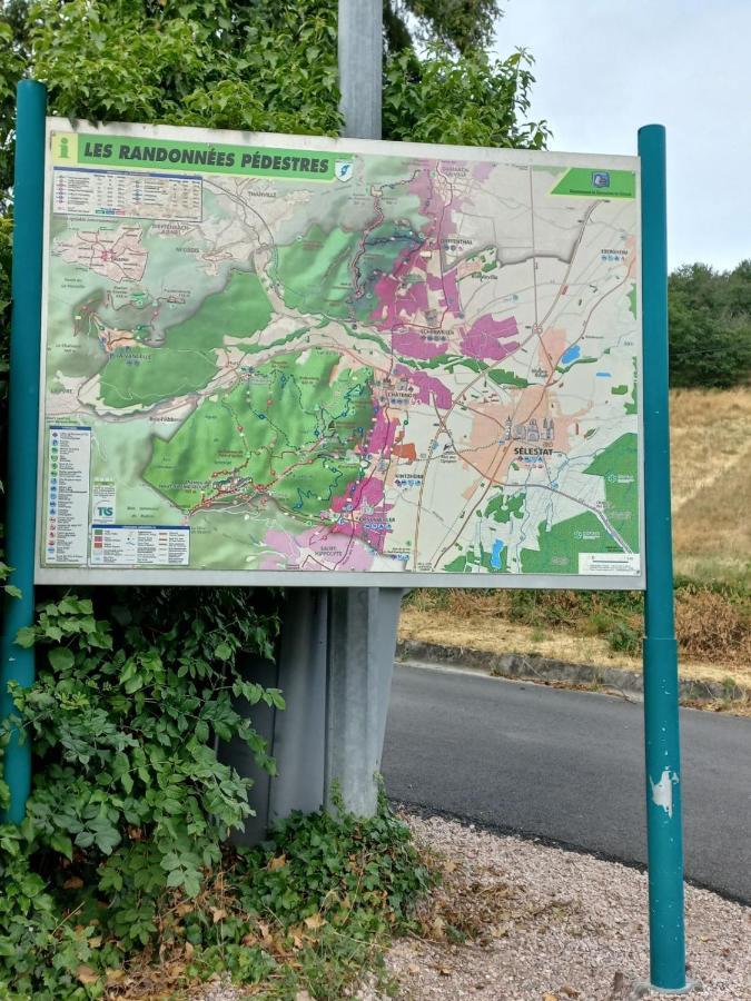 Gite Au Nid De Cigognes Villa Dieffenthal Kültér fotó