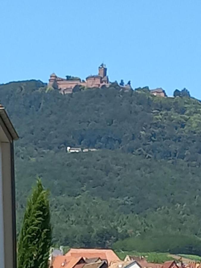 Gite Au Nid De Cigognes Villa Dieffenthal Kültér fotó