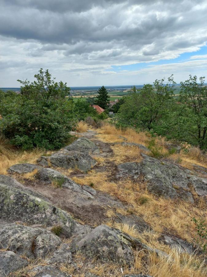 Gite Au Nid De Cigognes Villa Dieffenthal Kültér fotó