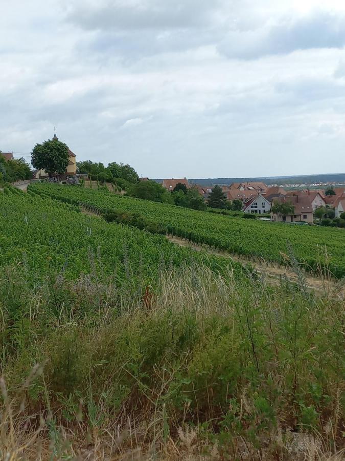 Gite Au Nid De Cigognes Villa Dieffenthal Kültér fotó