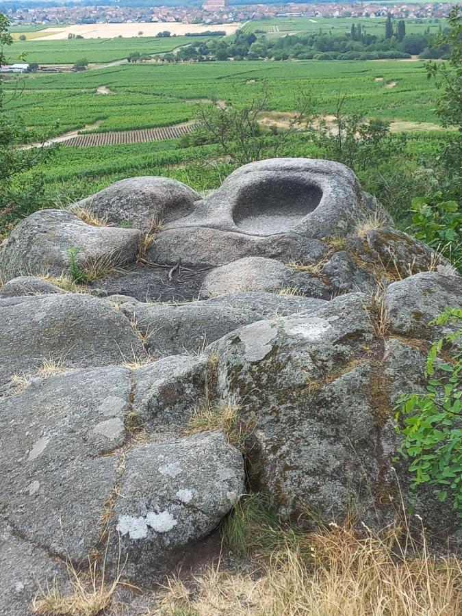 Gite Au Nid De Cigognes Villa Dieffenthal Kültér fotó