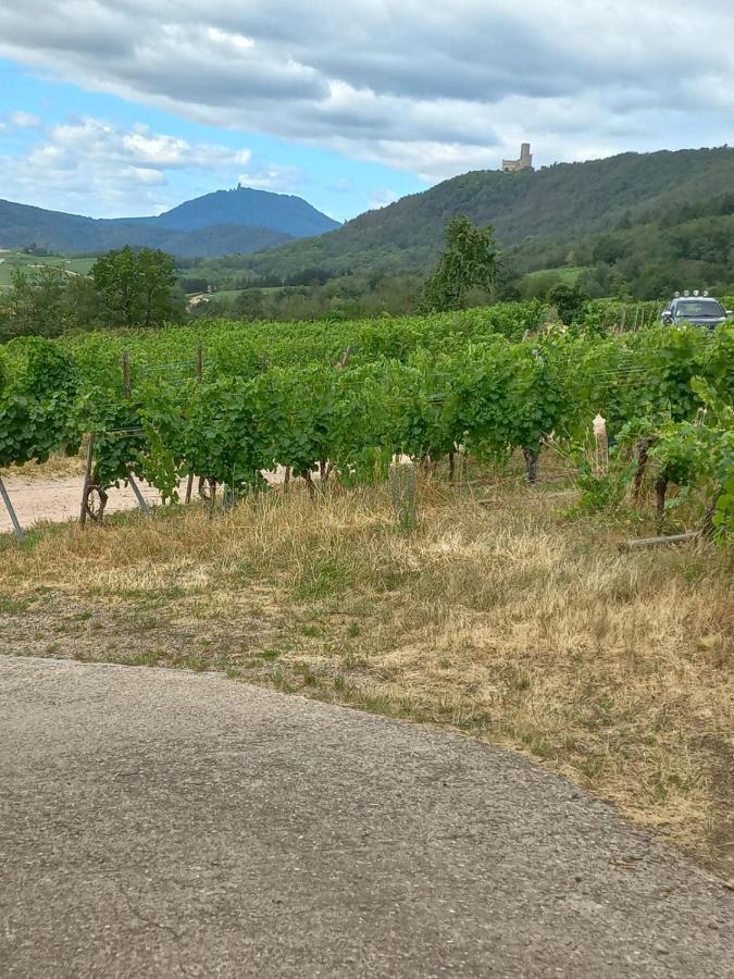 Gite Au Nid De Cigognes Villa Dieffenthal Kültér fotó
