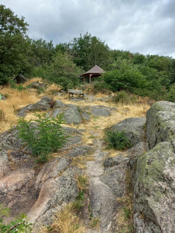 Gite Au Nid De Cigognes Villa Dieffenthal Kültér fotó