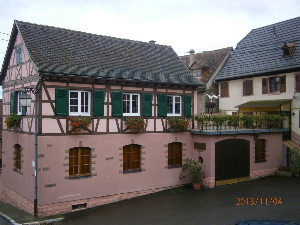 Gite Au Nid De Cigognes Villa Dieffenthal Kültér fotó